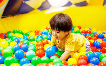 主なプログラム