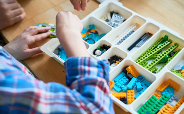 主なプログラム